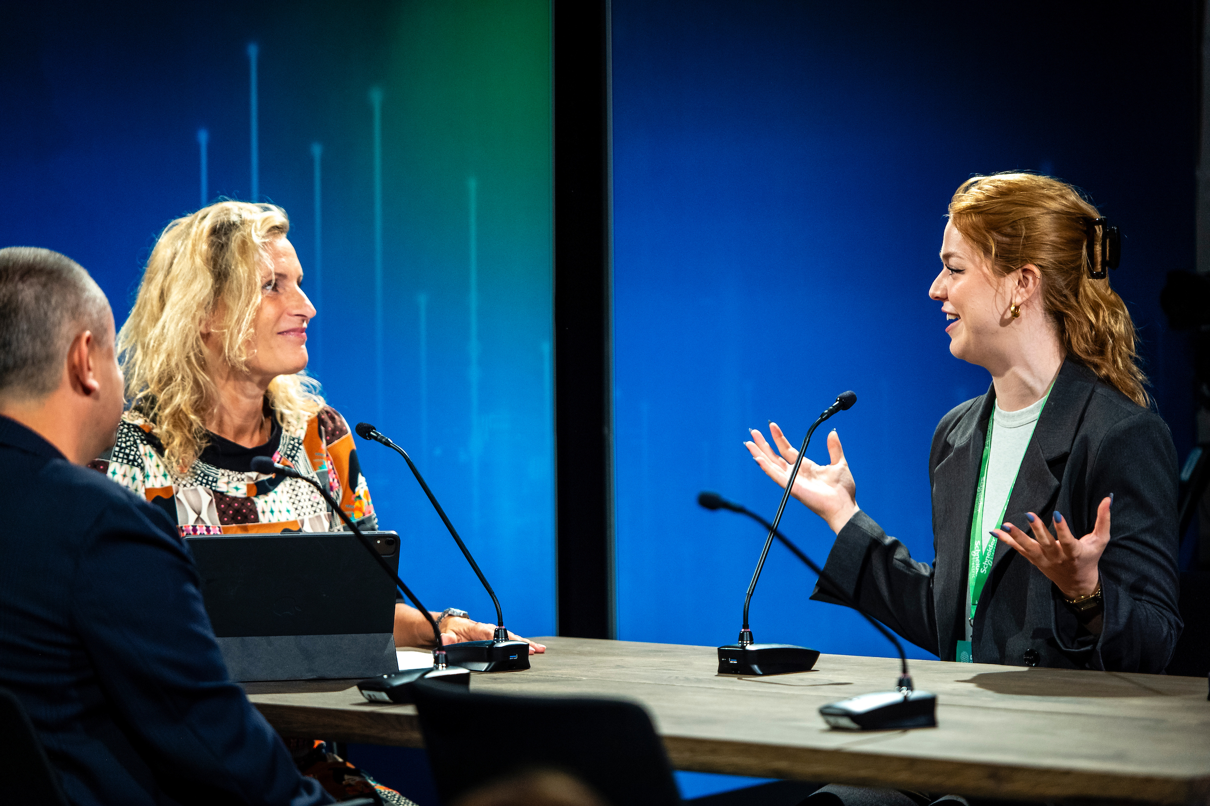 Speaking at a professional panel